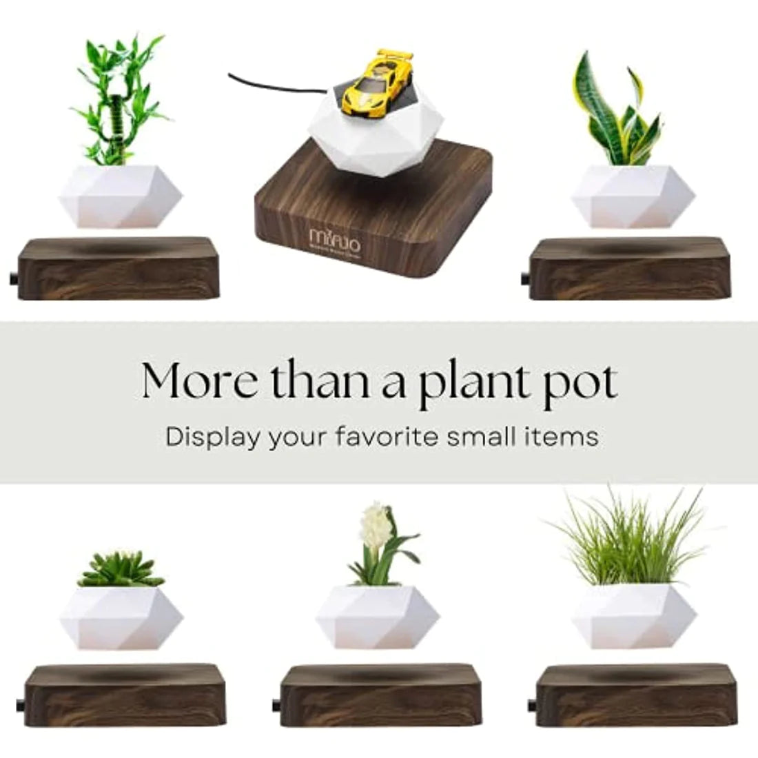 Levitating Plant Pot Can Be the Center of Attraction in Your Living Room