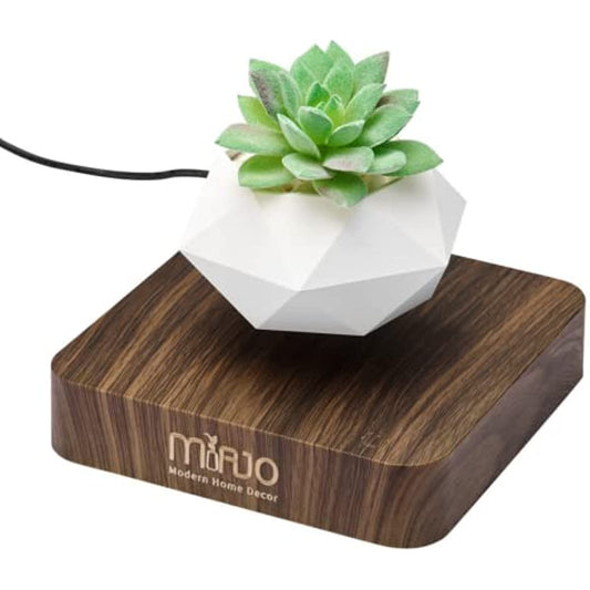Floating Planter: Elevate Your Plants in Style! - Miajohome